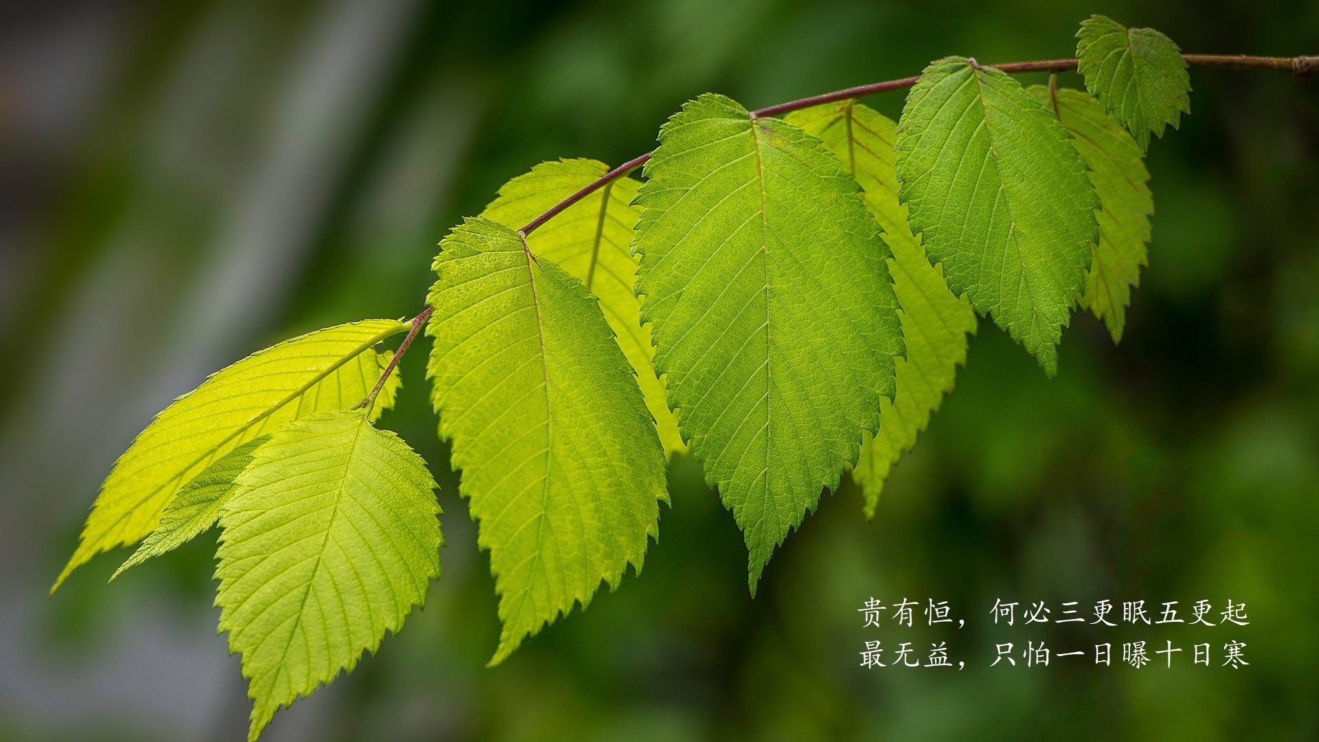 爱游戏官网-世俱杯决赛提前预演：两强激烈碰撞，世俱杯集锦