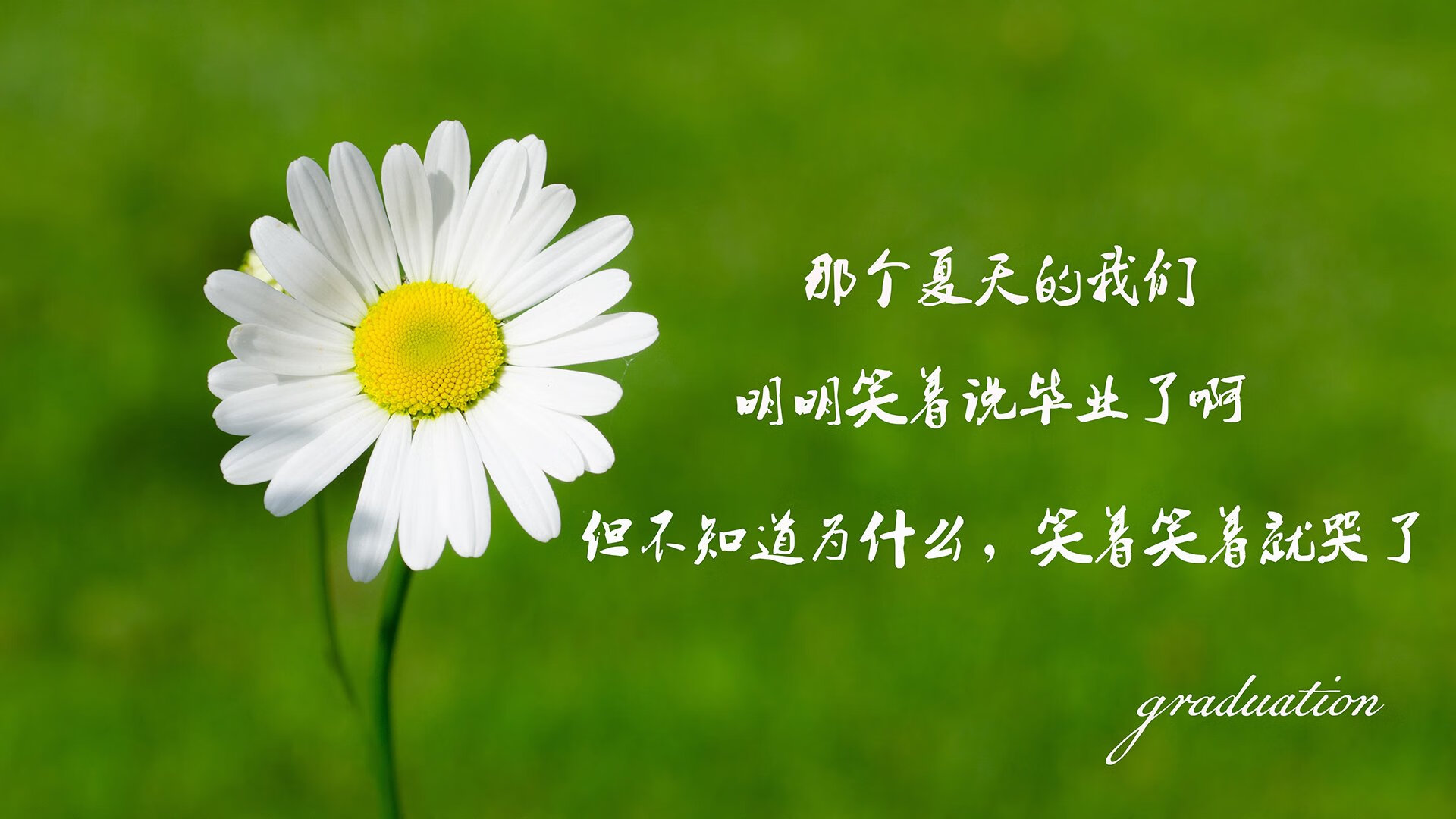 爱游戏体育官网-世俱杯半决赛盘点:跨洲大战引爆热情,世俱杯比赛时间表