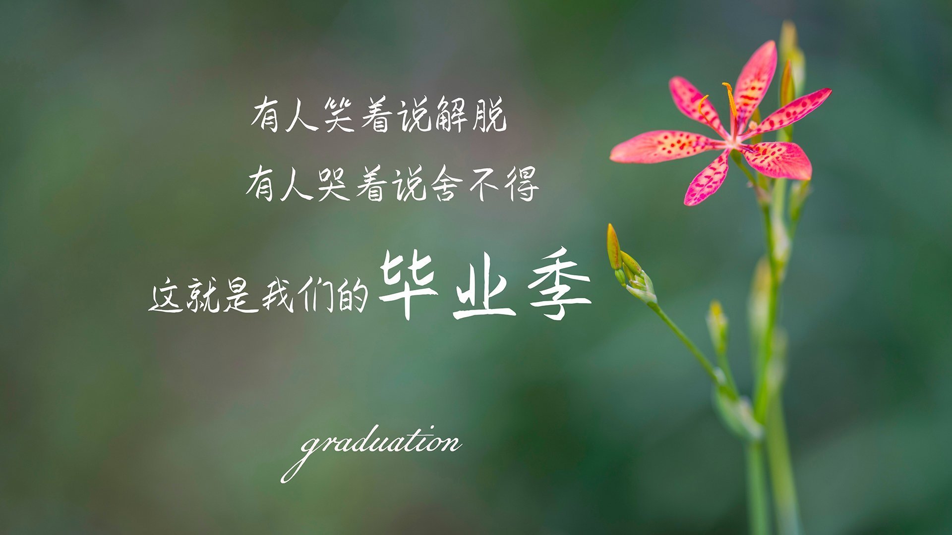爱游戏官网充值-世俱杯半决赛：利物浦与AC米兰激烈争夺晋级名额，世俱杯 利物浦